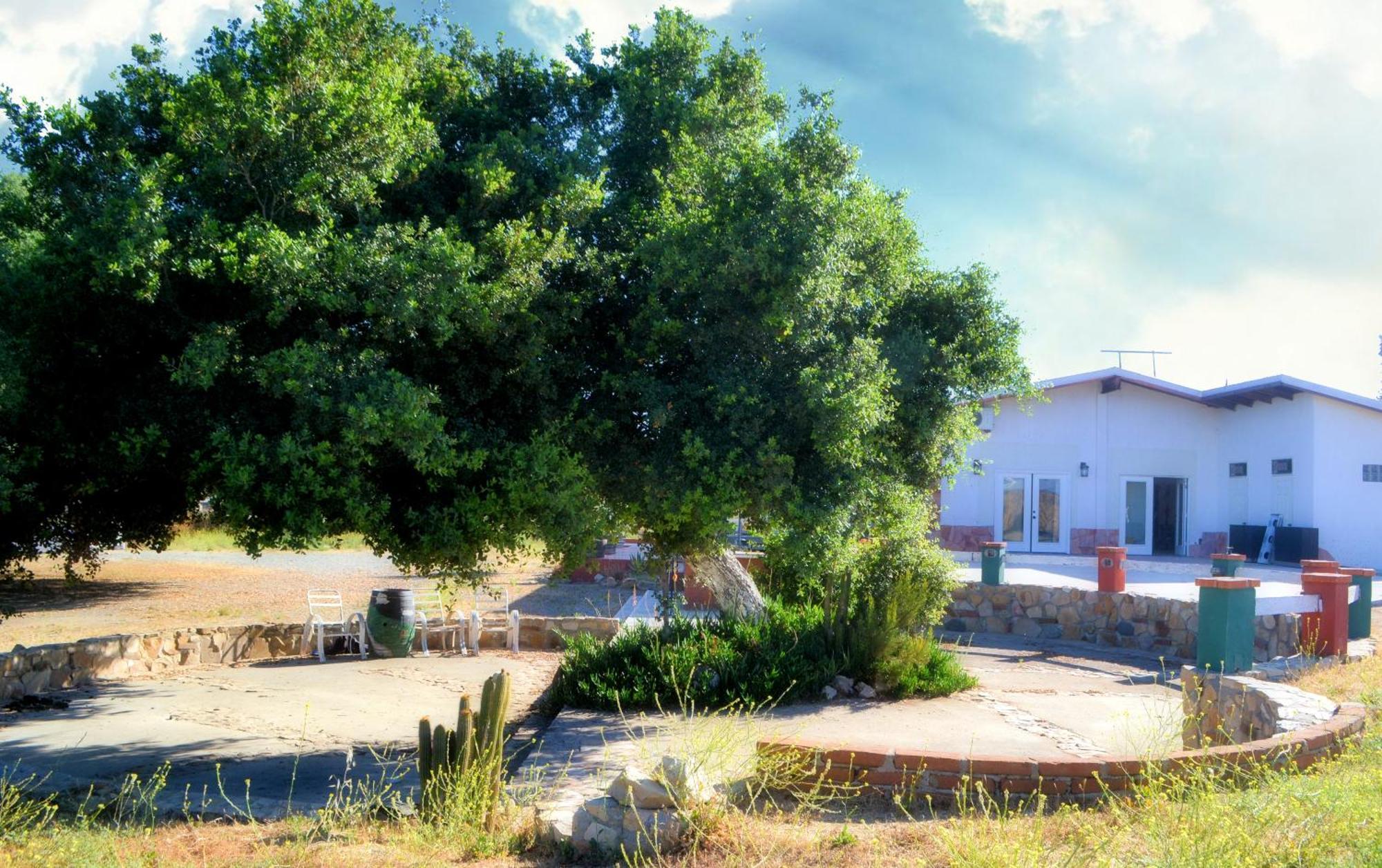 Kalanchoe Poshtel Suites Las Palmas  Exterior foto